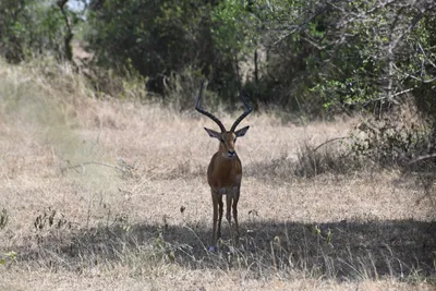 DSC_3523 (Large).JPG